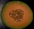 crenshaw melon ، casaba melon ، Persian melon ، winter melon